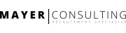 holeest.fr_mayerconsulting.fr
