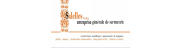 SARL EXPLOITATION ETABLISSEMENT SALELLES