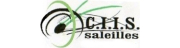 Club Initiation informatique de Saleilles (CIIS)