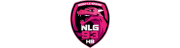 Noisy-le-Grand Handball