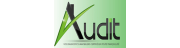 AUDIT BUSINESS DEVELOPPEMENT
