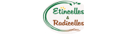 Etincelles et Radicelles