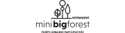 Minibigforest Normandie