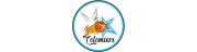 US COLOMIERS BASKET