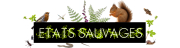 Etats Sauvages
