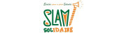 SlamSol