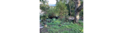 Jardin santé et partage